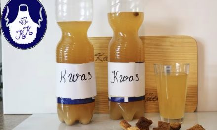 Russischer Kwas selber machen – erfrischendes Brotgetränk mit natürlicher Fermentation