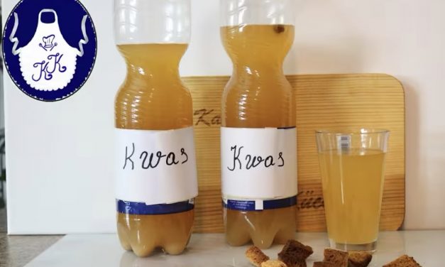 Russischer Kwas selber machen – erfrischendes Brotgetränk mit natürlicher Fermentation